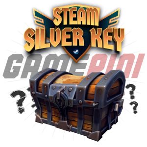 Steam Silver Key